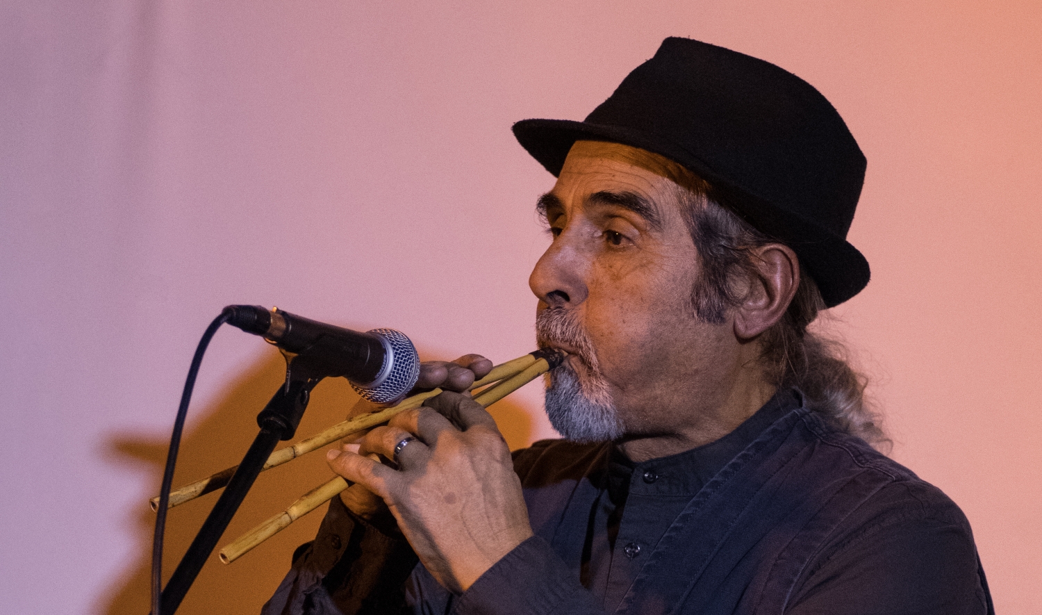 Launeddarts 2019: Cordas et Cannas